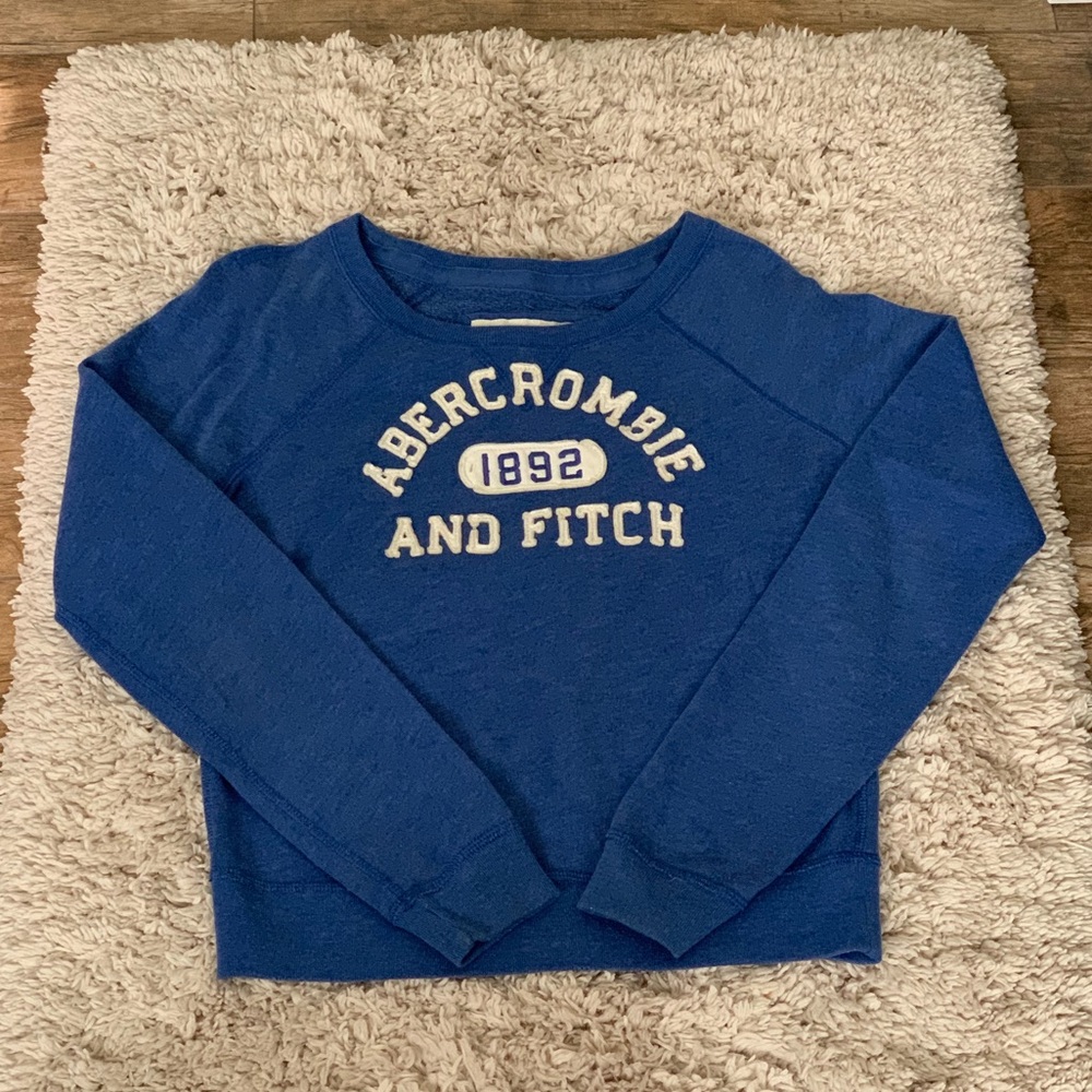 Abercrombie and Fitch Sweatshirt